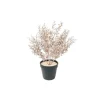 HOUSE VITAMIN Housevitamin Plant With Pot 202540 Bronze Gold