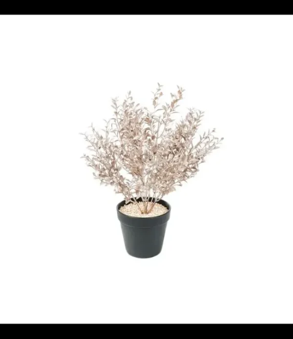 HOUSE VITAMIN Housevitamin Plant With Pot 202540 Bronze Gold