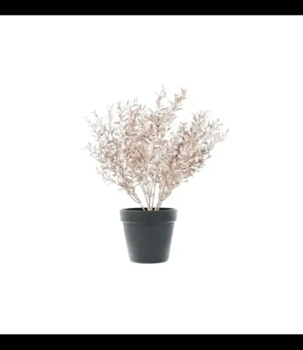 HOUSE VITAMIN Housevitamin Plant With Pot 202540 Bronze Gold