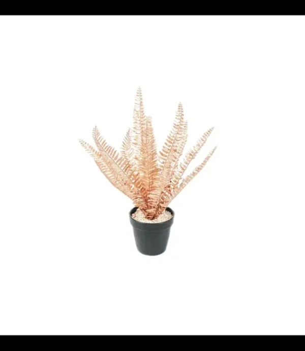 HOUSE VITAMIN HV Golden Fern 202544 15x30x45cm