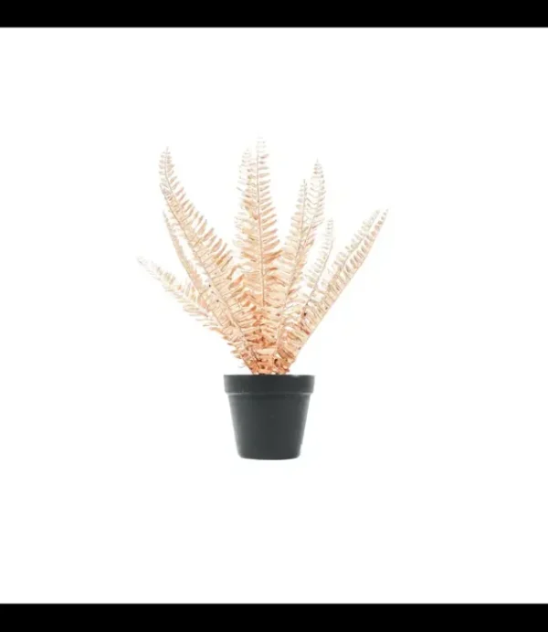 HOUSE VITAMIN HV Golden Fern 202544 15x30x45cm