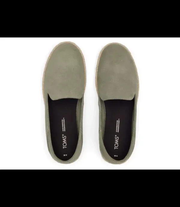 DAMES TOMS Santiago vetiver Grey suede 10020070 3174